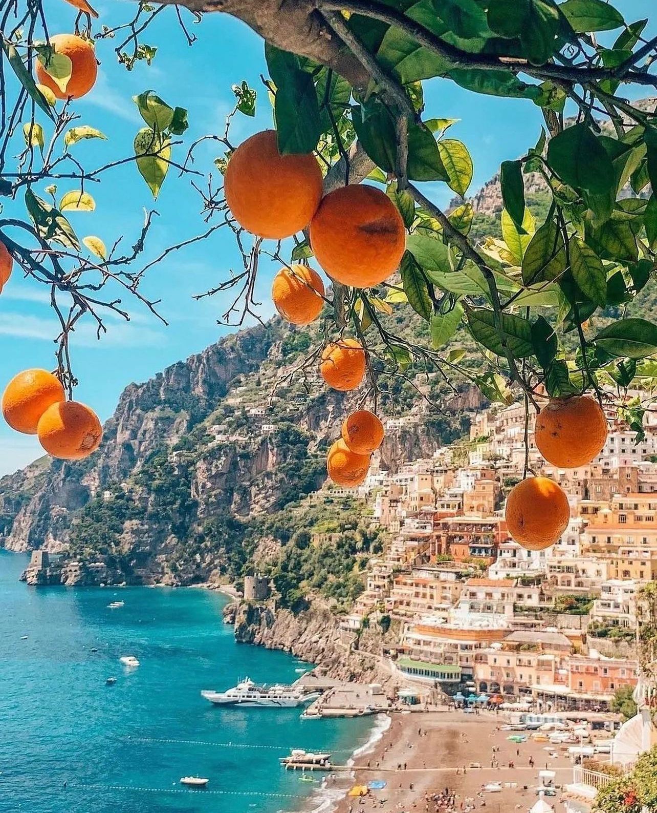 Lemons with Positano View