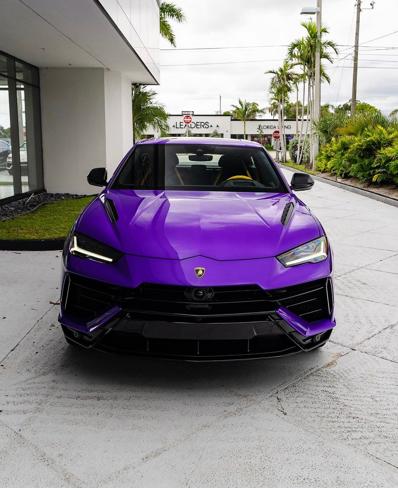 Purple Lamborghini Urus S