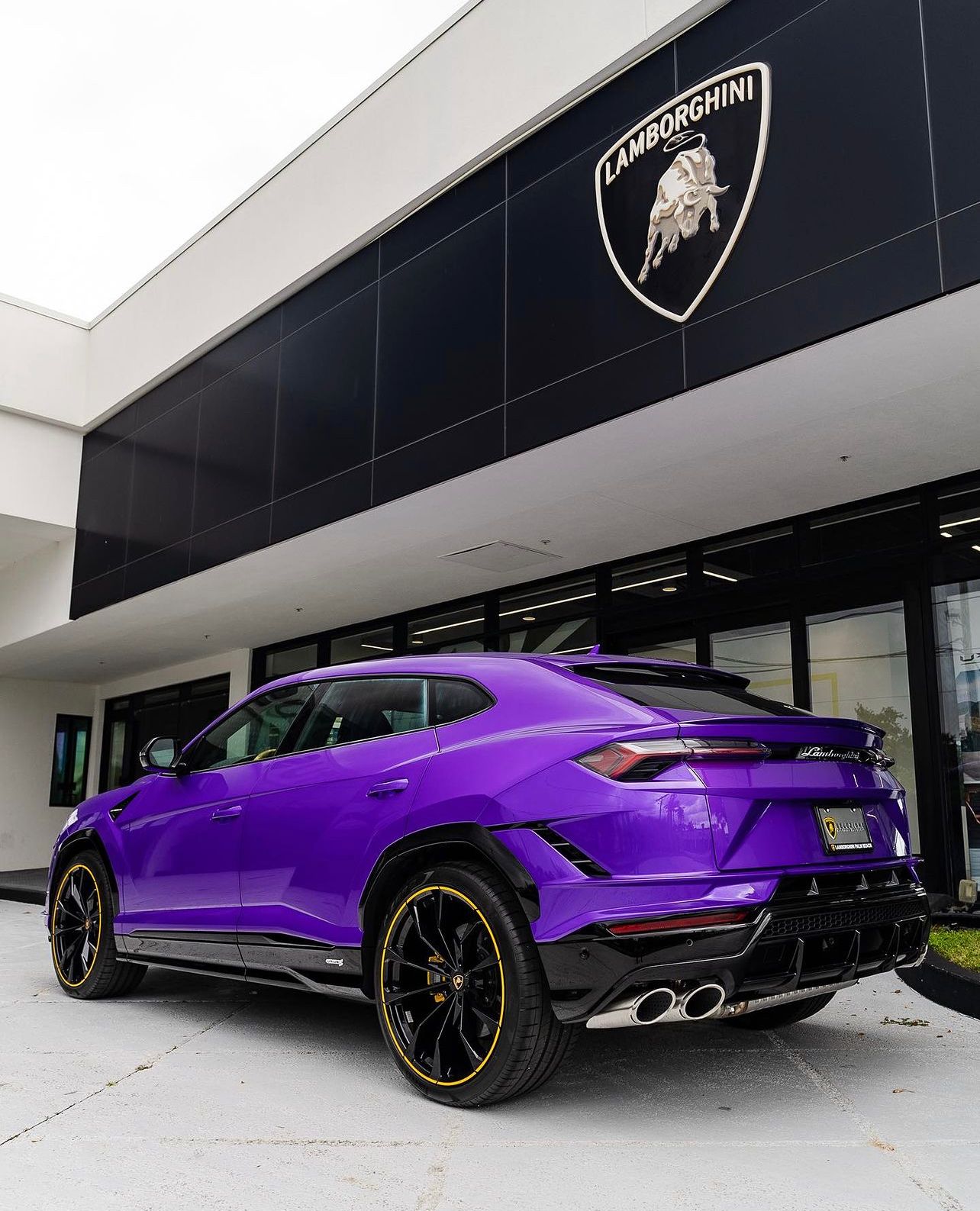Purple Dreaming Cars 